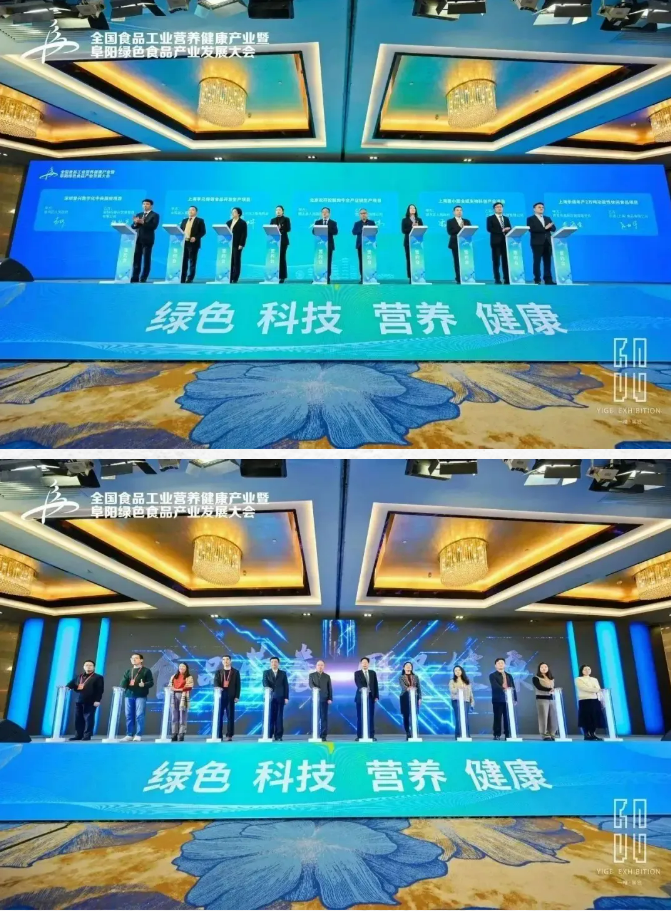 新年新作｜一格助力又一全國會隆重開幕